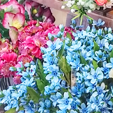 出張レッスン、コラボレーション企画